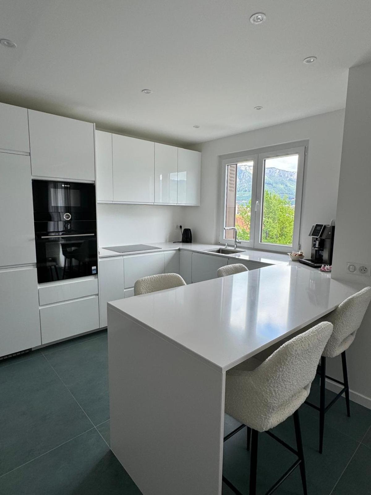 Modern Green & White - Apartments T3 60M2 Annecy - Parking Prive - Wifi - Netflix Екстер'єр фото